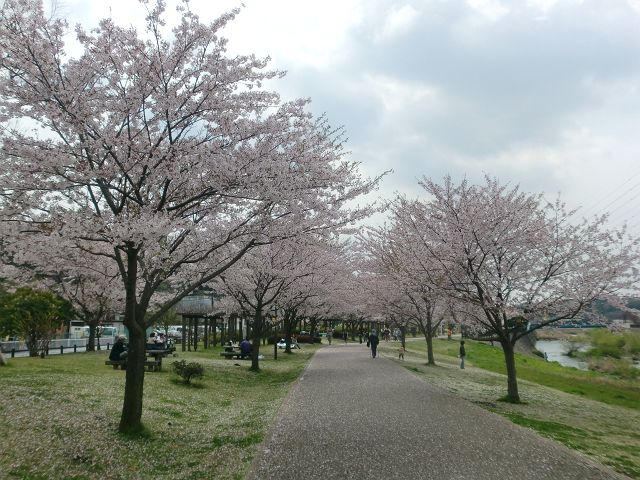 花吹雪