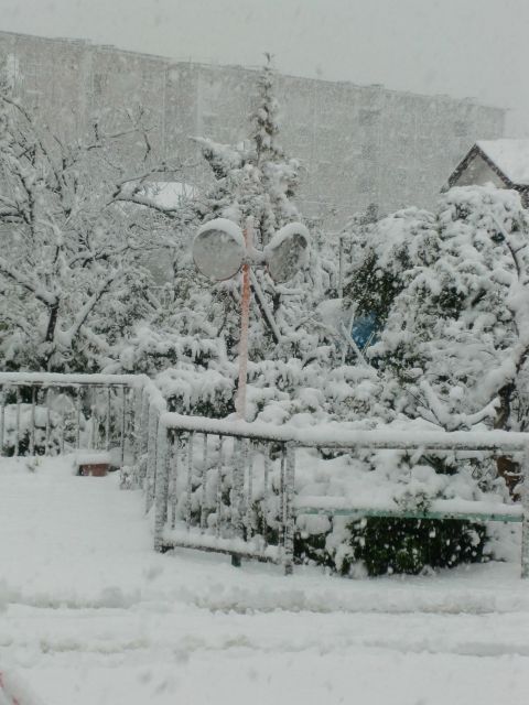 2013年　雪