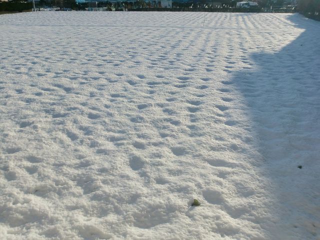 初雪