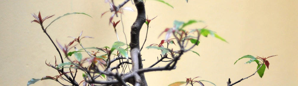 プリムエトフ 店舗